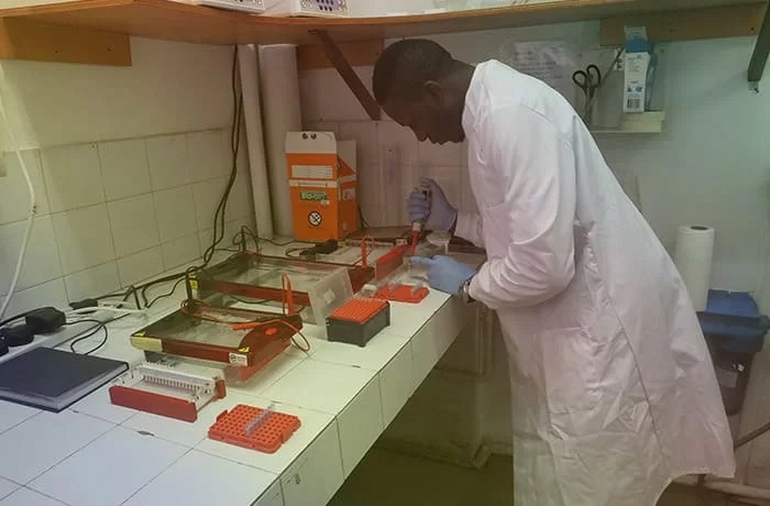 515_Oceac_lstm-3-compressed-1-1