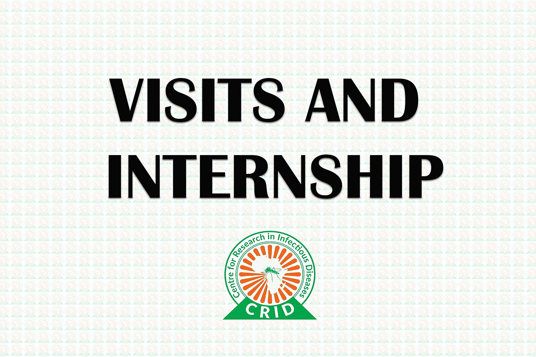 Visits and Intership 1