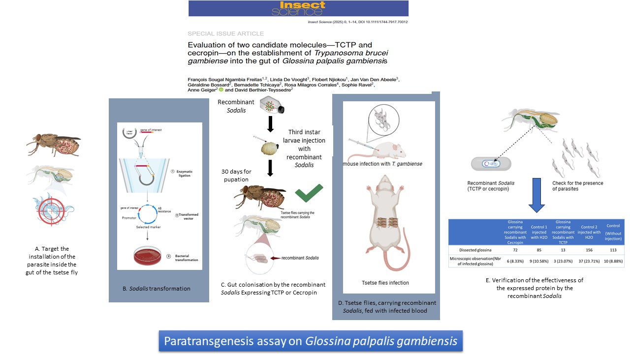 graphical abstract_1