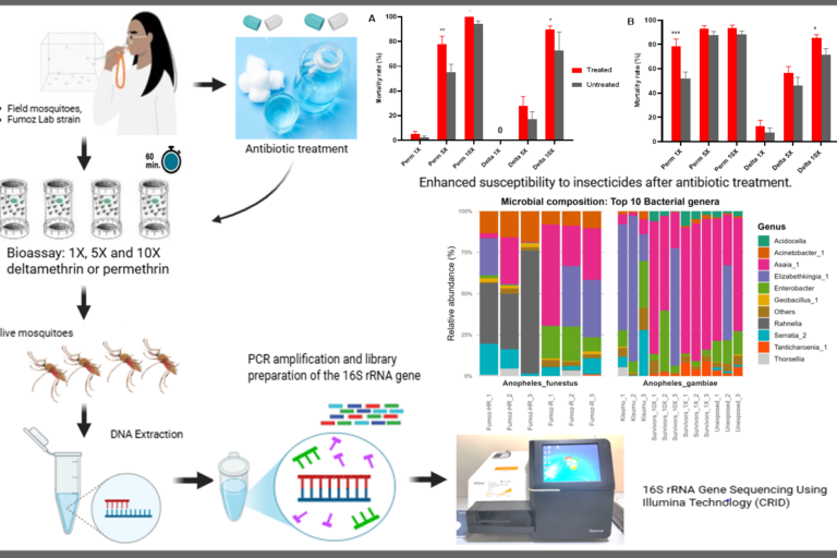 Graphical abstract