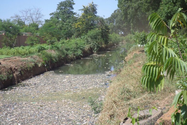 The primary goal is to interrupt the transmission of AMR and pathogens from wastewater used for irrigation to households