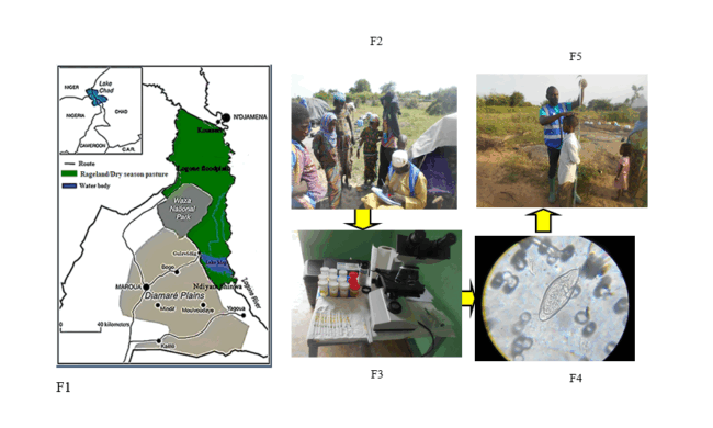 (F1) Map showing the Logone floodplain in green; (F2) Sampling of participants and administration of questionnaire; (F3) urine samples analysis (F4) Egg of schistosome observed and (F5) Evaluation of the height of an infection participant prior to drug administration