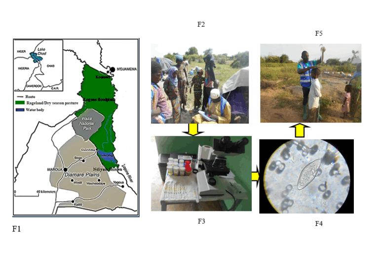 (F1) Map showing the Logone floodplain in green; (F2) Sampling of participants and administration of questionnaire; (F3) urine samples analysis (F4) Egg of schistosome observed and (F5) Evaluation of the height of an infection participant prior to drug administration