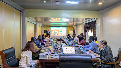 Professor Charles Wondji giving an overview of the CANVeCT project
