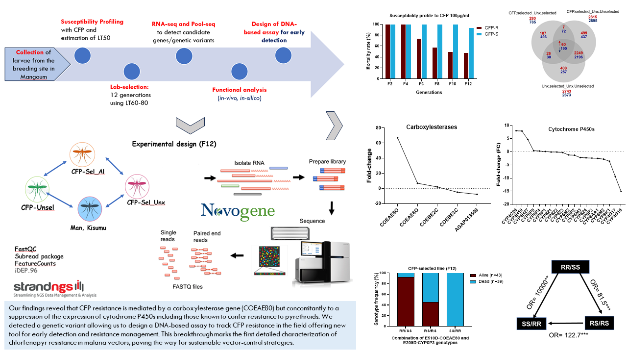 Graphical abstract Magellan Tchouakui